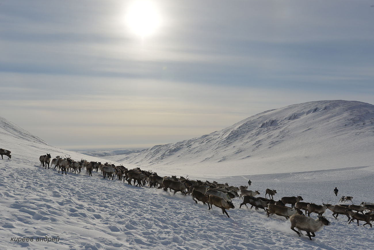Yamal (Ямал)